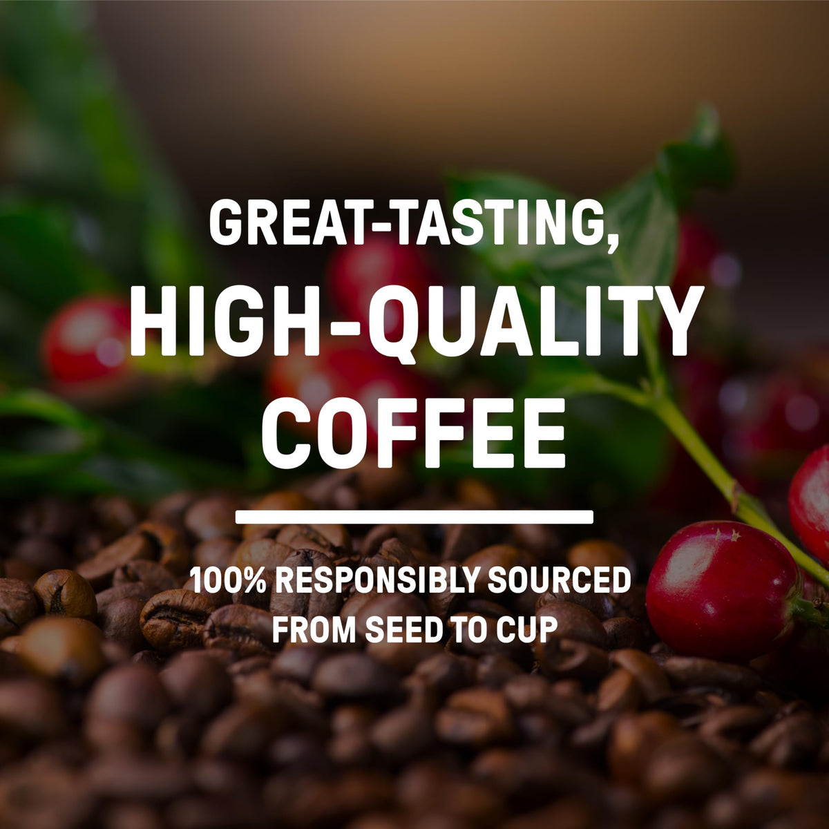 Community Coffee Grandmas Sugar Cookie Ground Coffee  Limited Edition Holiday Flavor  Natural Ingredients  11 Ounce (Pack of 1)