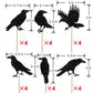 Leetaivie 24Pcs Black Glitter Crow Dessert Cupcake Toppers - Featured Halloween Themed Party Cake Topper (Black)