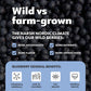 LOOV Organic Wild Blueberry Powder - 15-Day Supply, 3.2 Oz, Good for Smoothie & Breakfast, Freeze-Dried, from Northern Europe, N