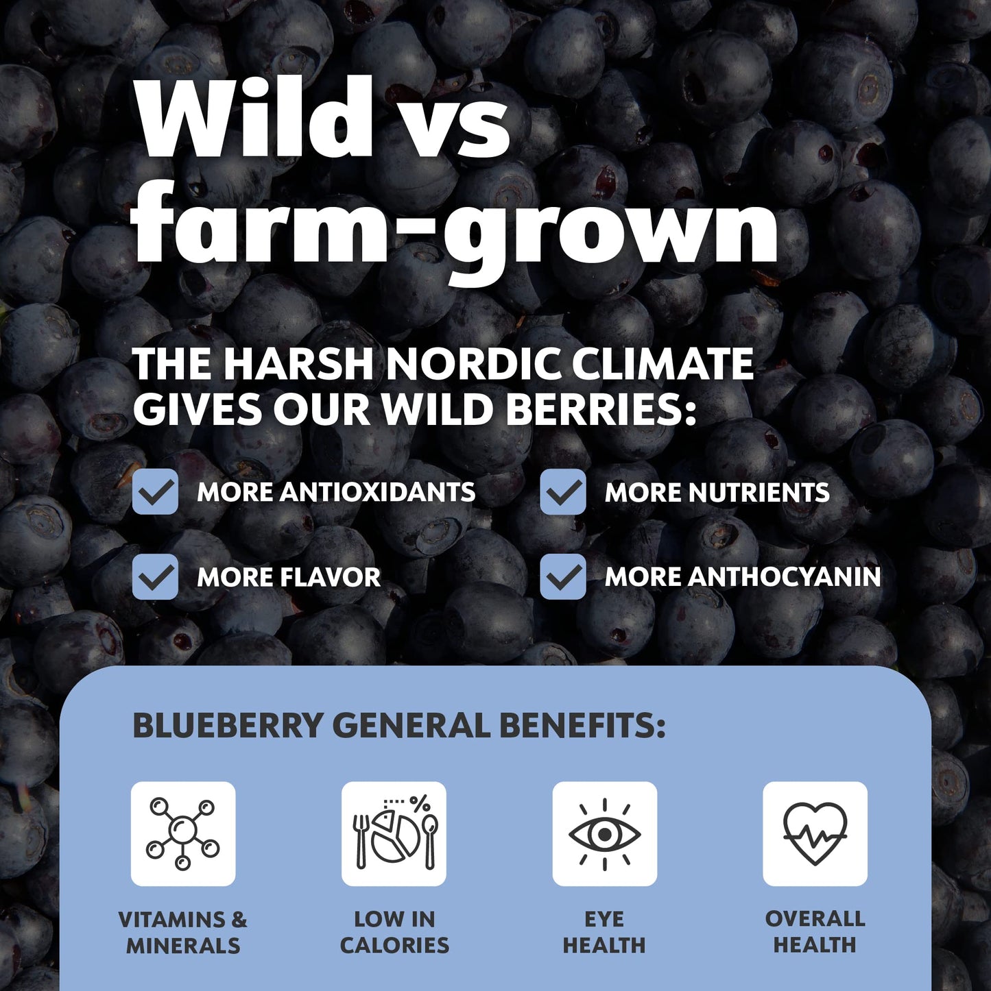 LOOV Organic Wild Blueberry Powder - 15-Day Supply, 3.2 Oz, Good for Smoothie & Breakfast, Freeze-Dried, from Northern Europe, N