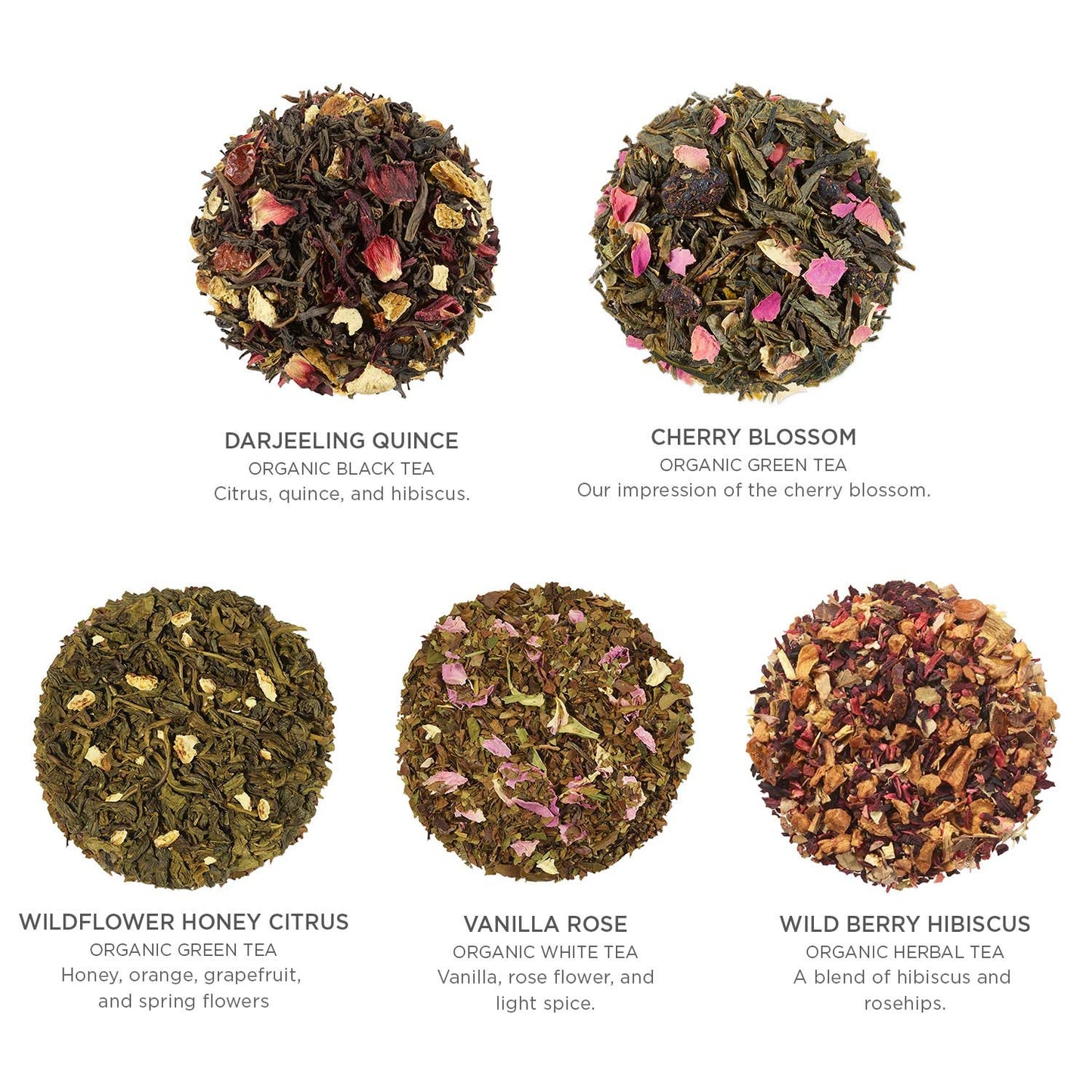 Tea Forte Soleil Organic Fruit And Flower Tea Petite Presentation Box, Sampler Gift Set With 10 Handcrafted Pyramid Tea Infusers