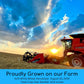 Palouse Brand Wheat Berries | Hard Red Winter, Hard Spring, Soft White | 20 lb Variety Pack | Non-GMO, Kosher, USA Grown