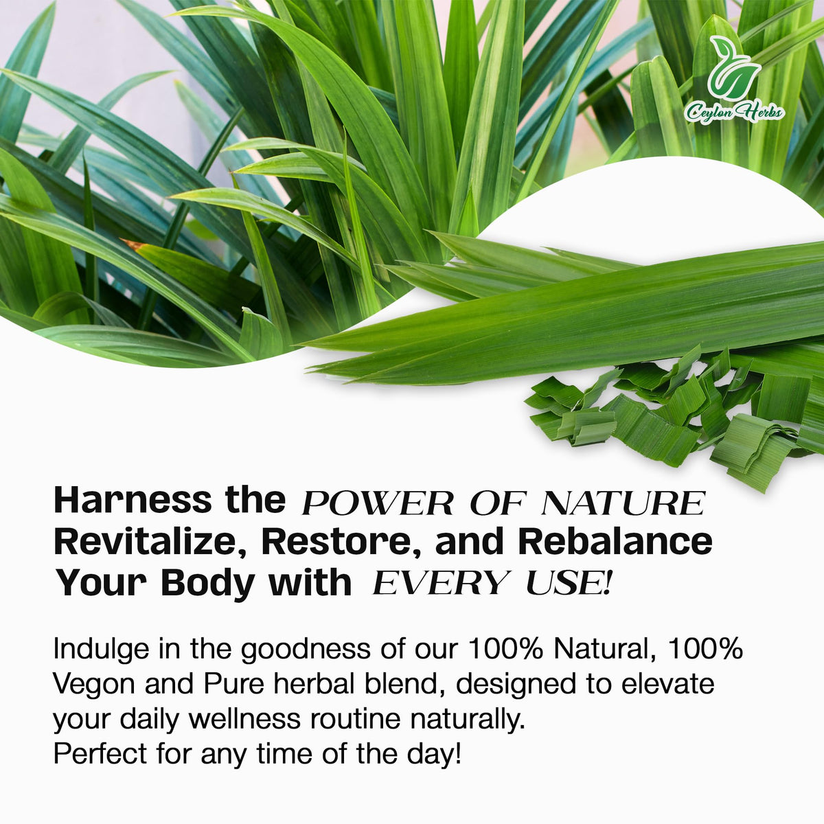 CEYLON HERBS Whole Dried Pandan Leaves - 100% Pure, Organic, Aromatic for Cooking and Baking