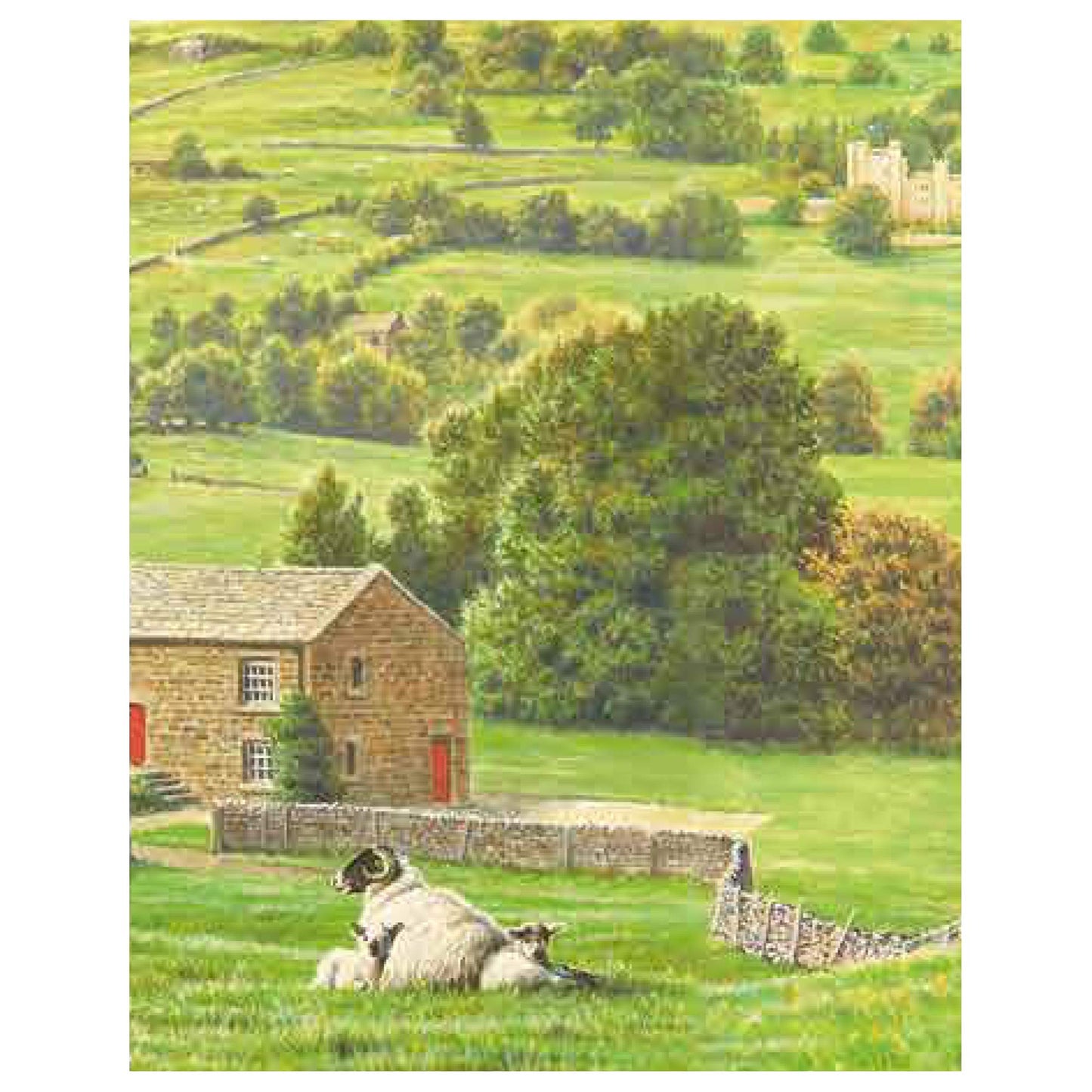 Yorkshire Tea Decaffeinated Tea Bags 250 g (Pack of 5)