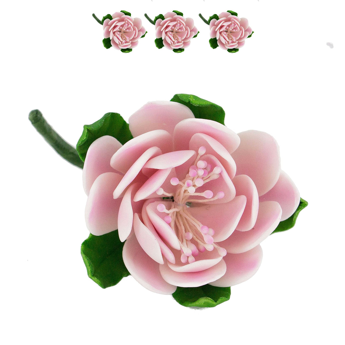 Global Sugar Art Protea Sugar Cake Flowers Medium Pink, 3 Count by Chef Alan Tetreault