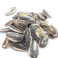 Bricktown Goods Jamaican Jerk Flavored Sunflower Seeds - Boldly Seasoned And Roasted In-Shell Sunflower Seeds - 8 Oz Total