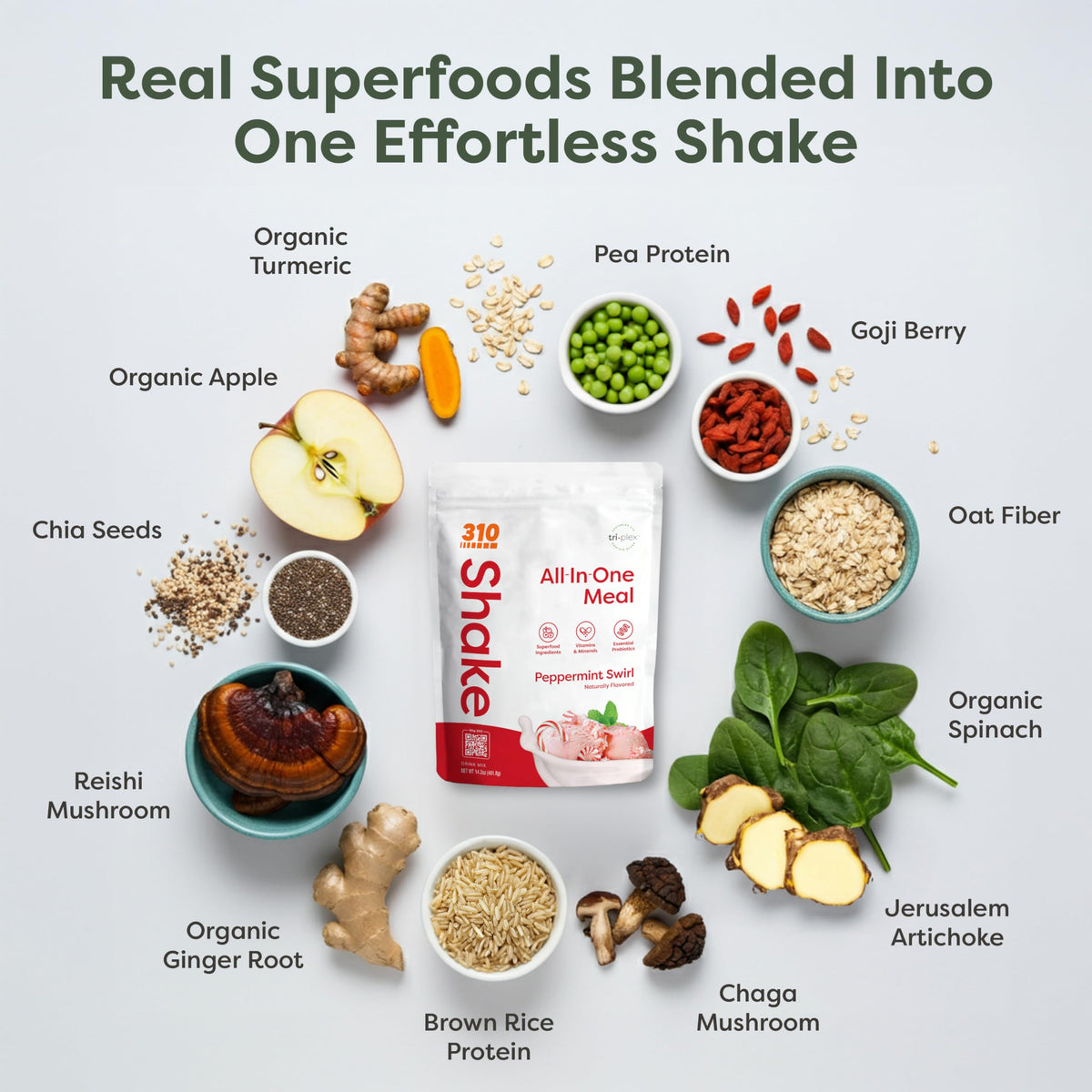 310 Nutrition All-in-One Meal Replacement Shake - Plant-Based Protein Powder with Triplex Proteins, Probiotics, Digestive Enzyme