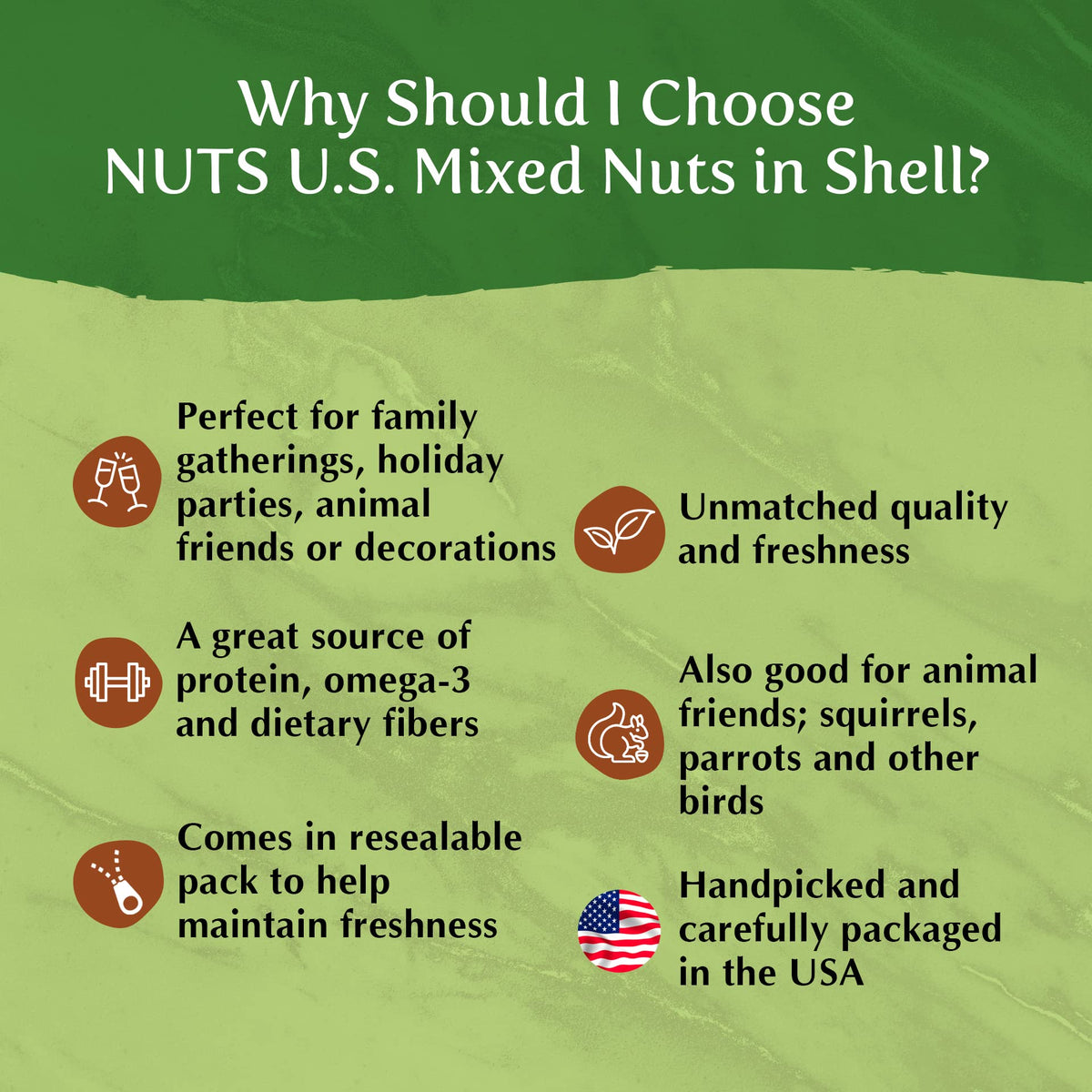 Nuts U.S. – Mixed Nuts In Shell (Almonds, Walnuts, Hazelnuts, Pecans) | No Added Colors And No Artificial Flavors | Fresh Buttery Taste And Raw |Packed In Resealable Bags!!! (1 Lb)