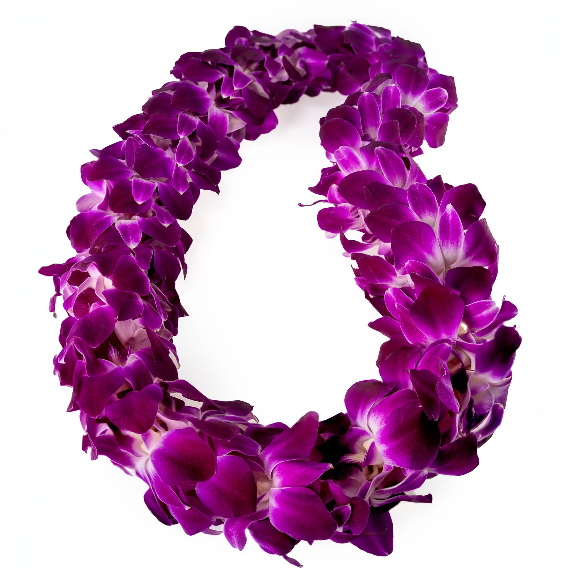 Generic Fresh Cut Orchids Flower Leis, Double Strand, Pink and Purple, Model Sonia, Perfect for Graduations and Party Decorations