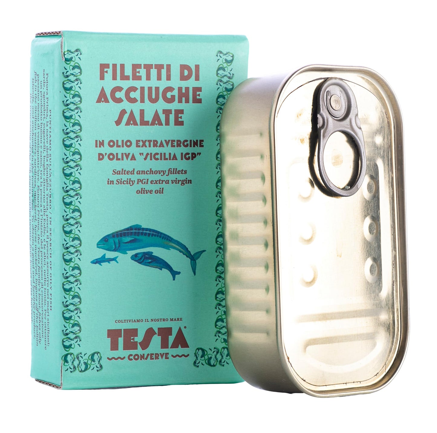 Sicilian Anchovy Fillets in Extra Virgin Olive Oil - Testa Conserve, Sicily, Italy - in a tin of 4.2oz