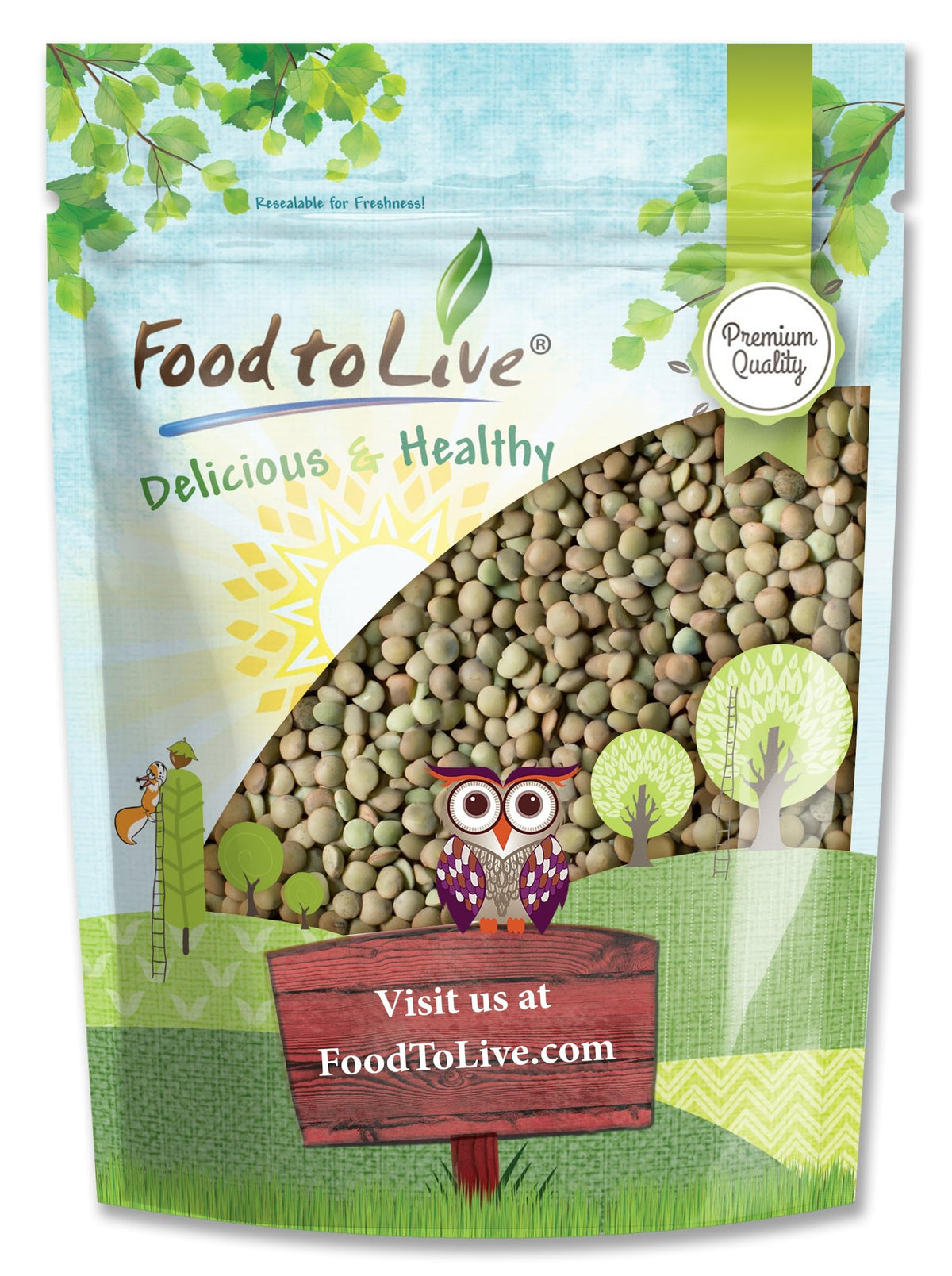 Food to Live - Whole Green Lentils, 5 Pounds Dried Raw Lentils, Sproutable, Kosher, Vegan. Rich in Dietary Fiber, and Protein. N
