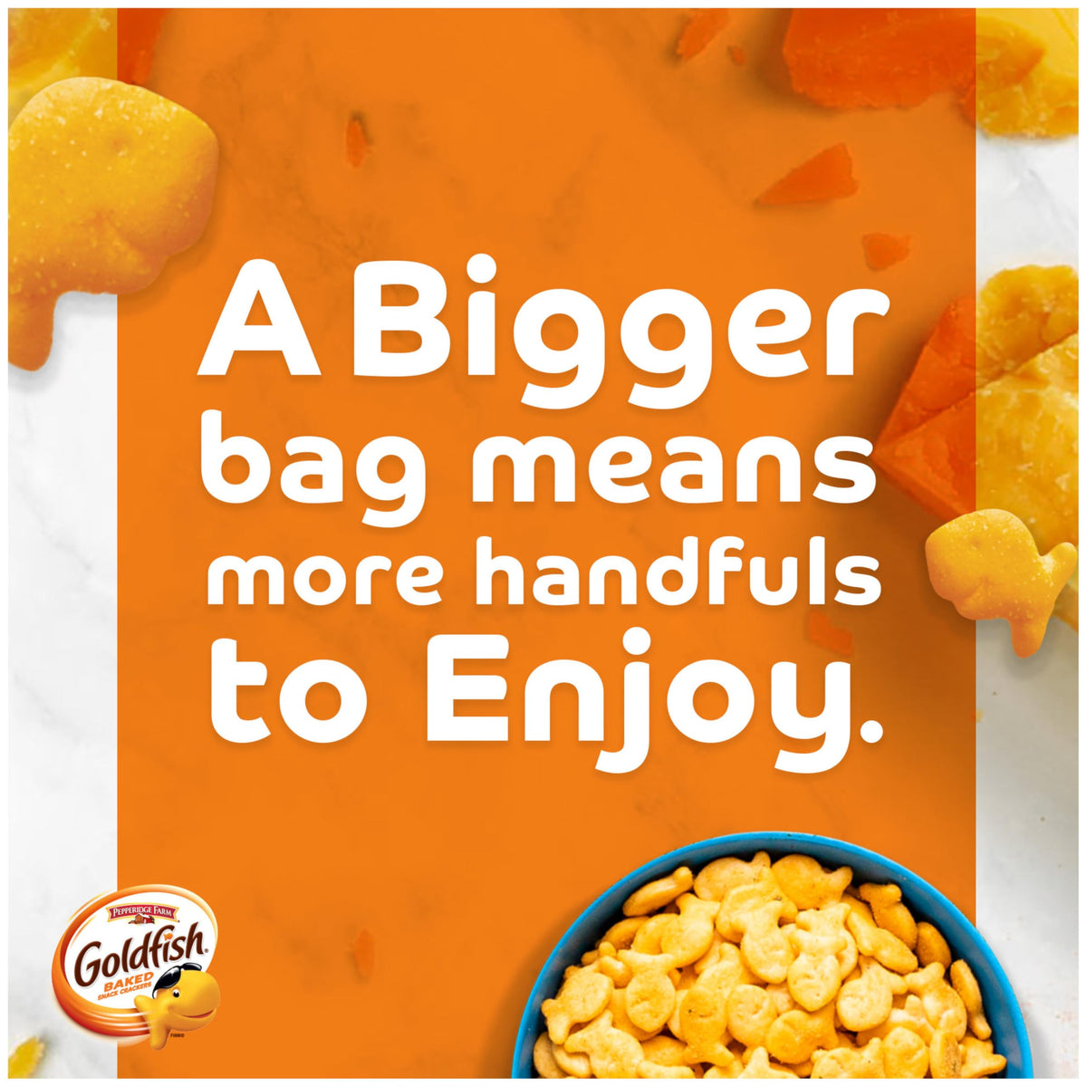 Pepperidge Farm Goldfish Crackers, Cheddar Crackers, Family Size, 10 Oz Bag