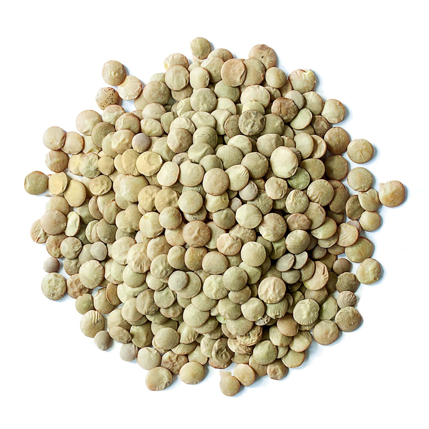 Food To Live Organic Whole Green Lentils, 1 Pound – Non-Gmo, Dried Raw Beans, Sproutable, Vegan, Kosher, High In Folate, Dietary Fiber, Protein, No Soaking Required, For Soups, And Veggie Burgers