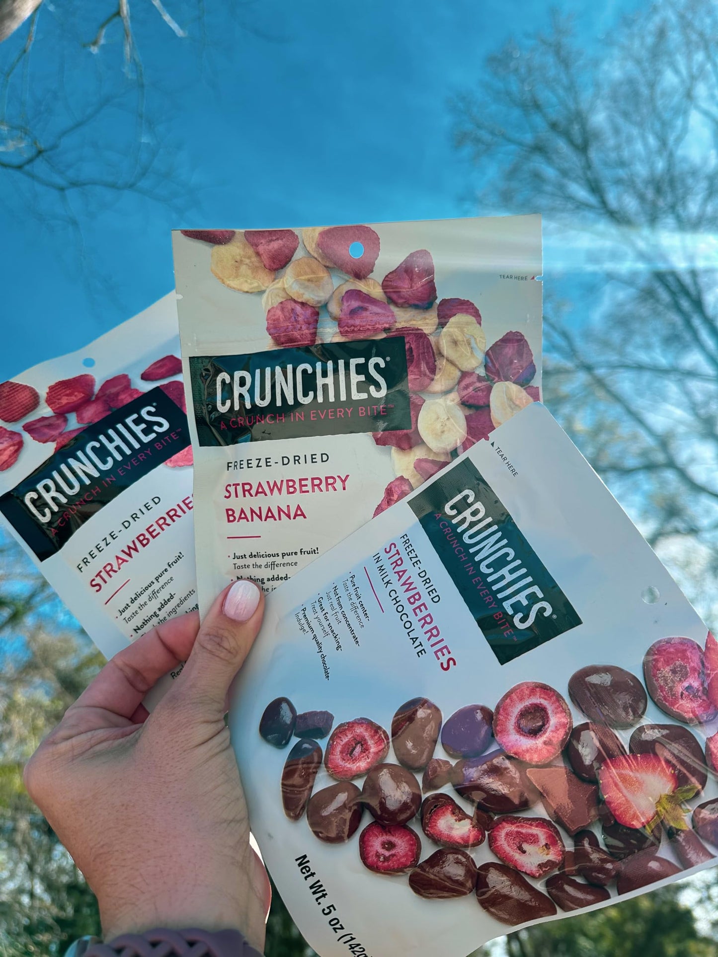 Crunchies Freeze-Dried Fruits, All Natural Crispy Fruit Snack, Pack of 6 Strawberry Lovers Variety, Non-GMO, Kosher