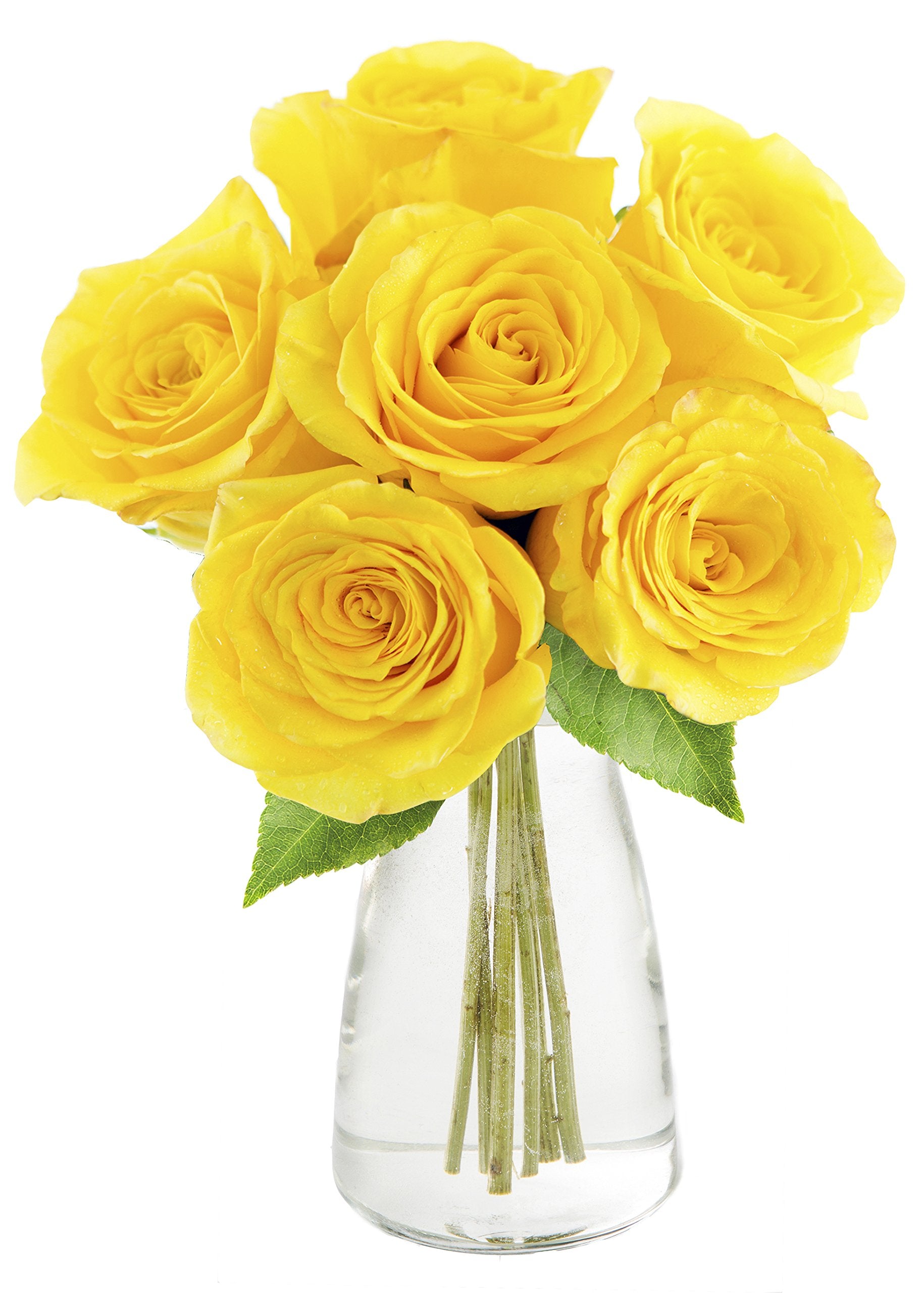 KaBloom Yellow Sunshine Bouquet - 6 Fresh Cut Yellow Roses with Vase - Model KADF1330-V149-A999