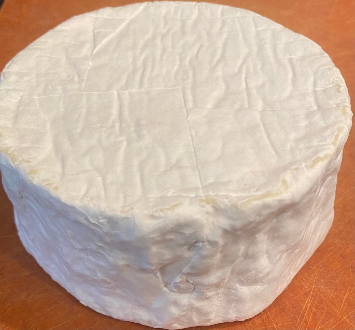TheMilkman Camembert and Brie Cheese Starter Culture, Mesophilic with Penicillium, Makes 8 Batches