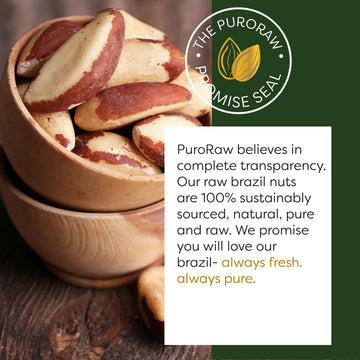 PuroRaw Brazil Nuts Raw 1lb  Raw Brazil Nuts. Brazil Nuts Unsalted - Brazil Nuts- All Natural  Non-GMO  Vegan Brazil Nuts- Brazil Nuts Bulk 16oz