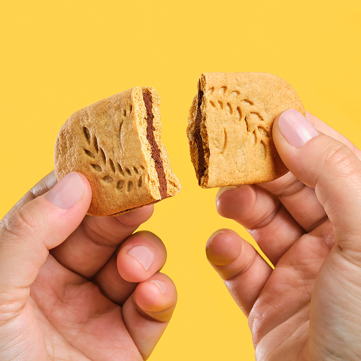 belVita Breakfast Bar Biscuit Sandwiches, Dark Chocolate Creme, 8 Packs (2 Biscuits Per Pack)