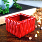Set Of 3 Live Lucky Bamboo 2 Stalk Arrangements In Red Square Ceramic Planters - Set Of Three 6 Inch Lucky Bamboo Indoor Potted