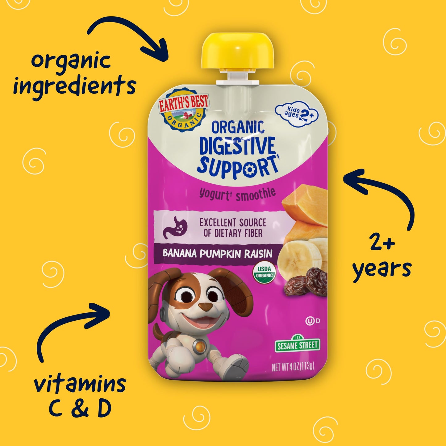 Earths Best Organic Kids Snacks, Toddler Fruit Smoothie, Banana Pumpkin Raisin, 4 oz (Pack of 12)
