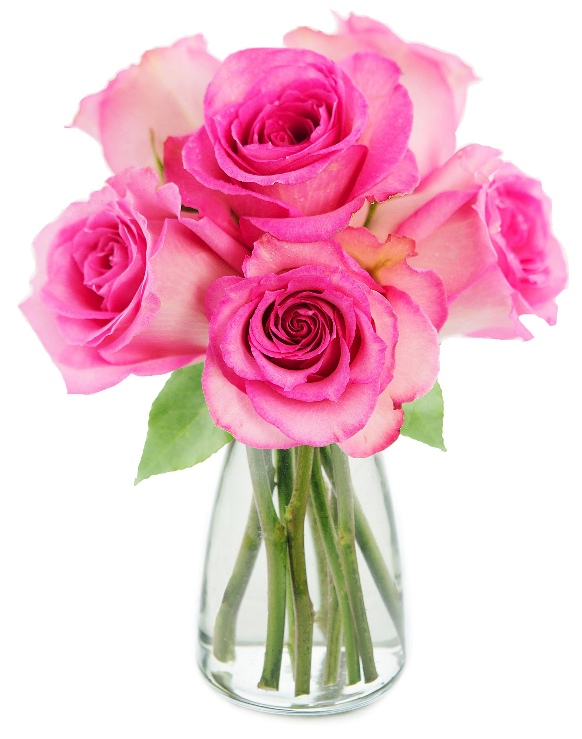 Kabloom Flowers - MotherS Day Collection - Sweet Pink Bouquet Of 6 Fresh Cut Pink Roses (Farm-Fresh  Long-Stem) With Vase.Gift For Birthday  Valentine  Mothers Day Fresh Flowers