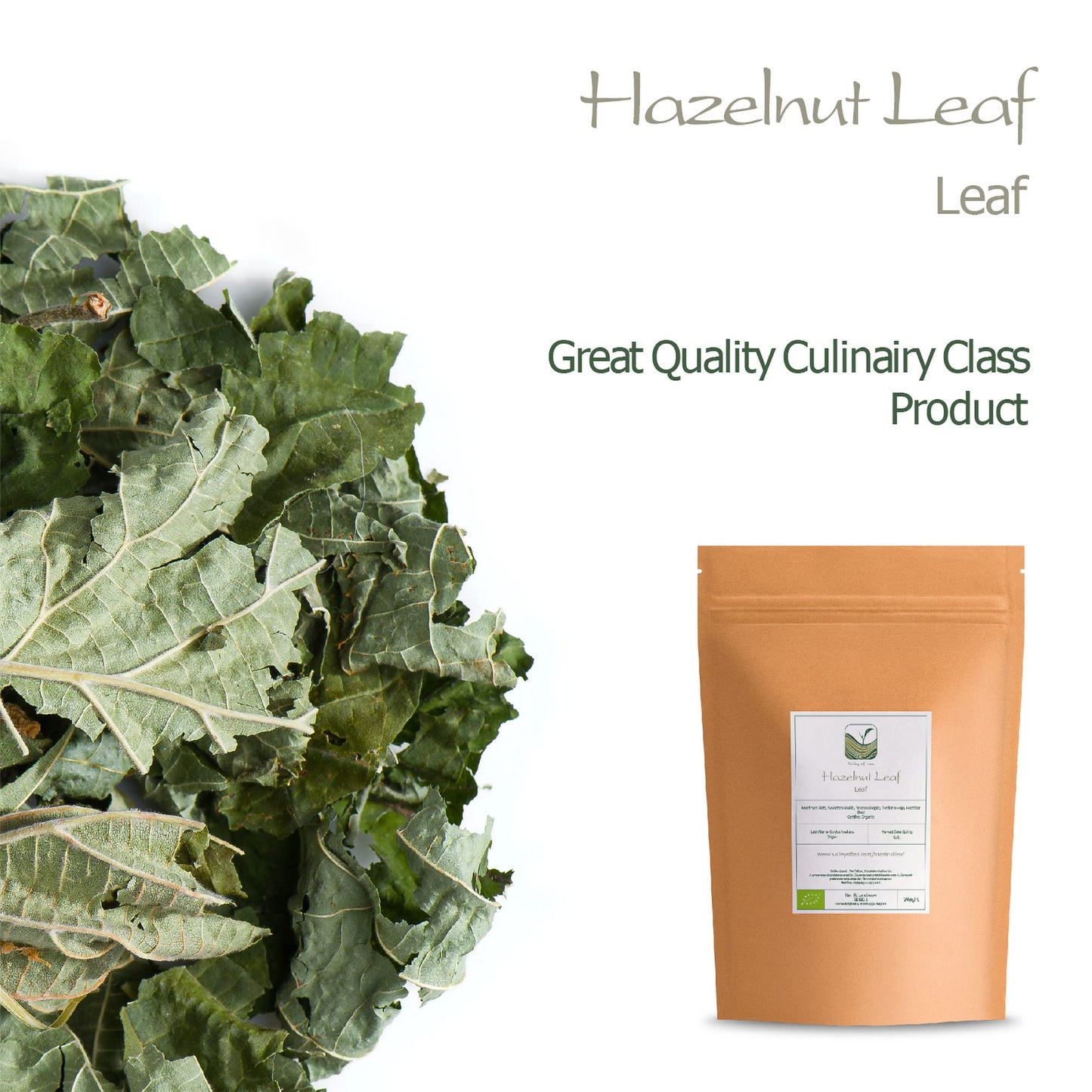 Hazelnut Leaf Tea - Corylus Avellana - Hazelnut Tea Hazel Nuts