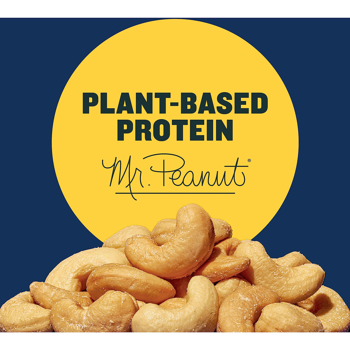 Planters Salted Cashews (12 Ct Pack, 3 Oz Packs)