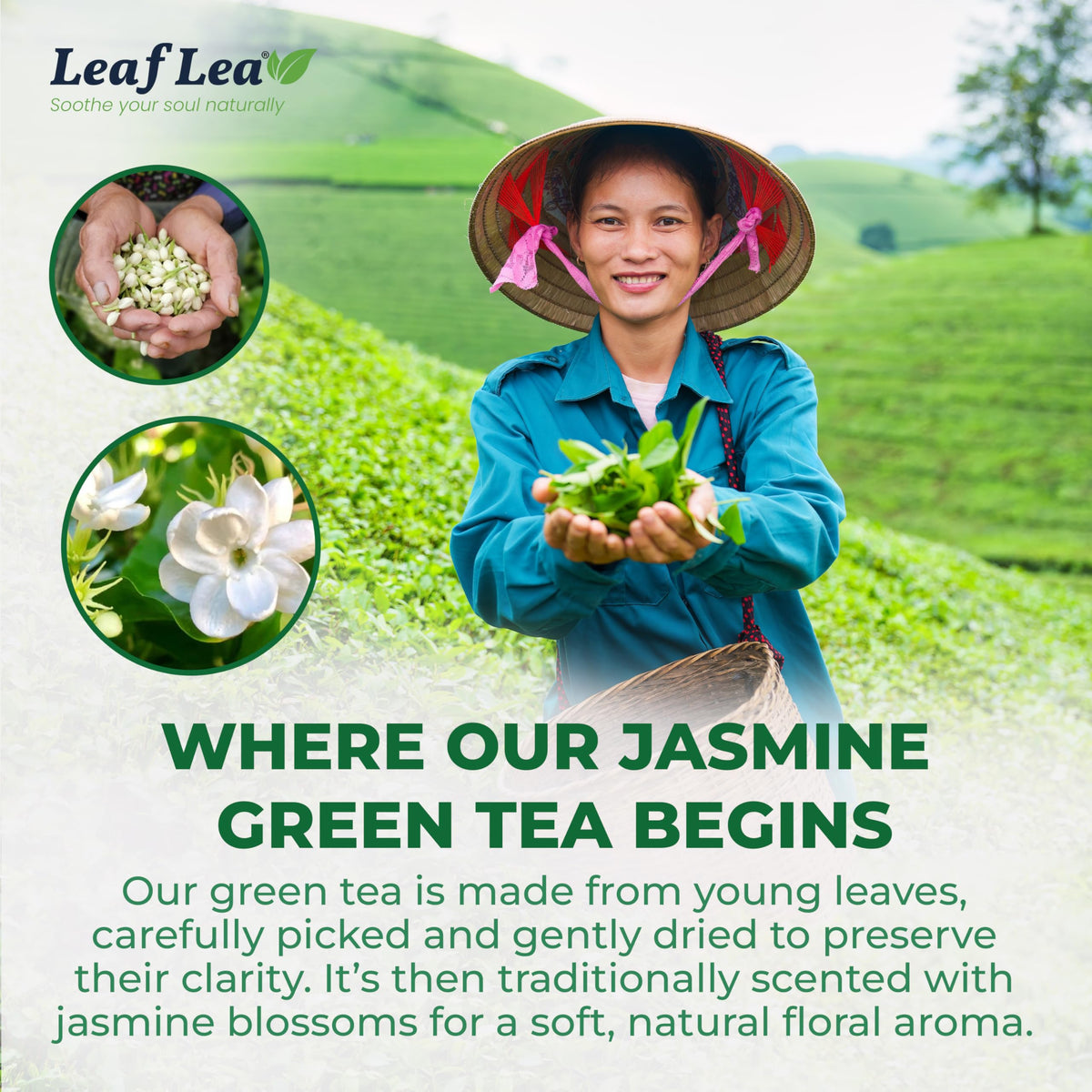 LeafLea 40 Jasmine Green Tea Bags  enhanced Green Tea Scented with Jasmine Flowers for Gentle Support & Light Alertness  Floral Smoothness  Caffeinated  Sugar-Free  Non-GMO  Vegan  Individually Wrapped