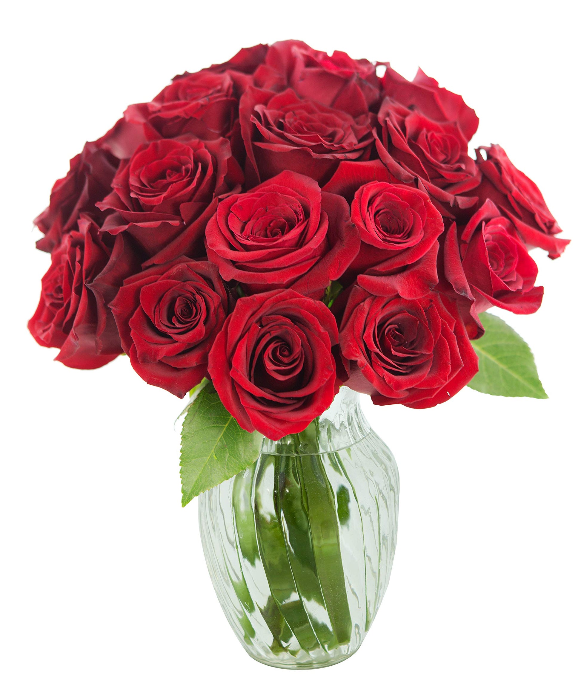 KaBloom Flowers - Mothers Day Collection - The Romantic Classic Bouquet of 18 Fresh Red Roses (Farm-Fresh) with Vase|Gift for Birthday  Thank You  Valentine  Mothers Day Fresh Flowers