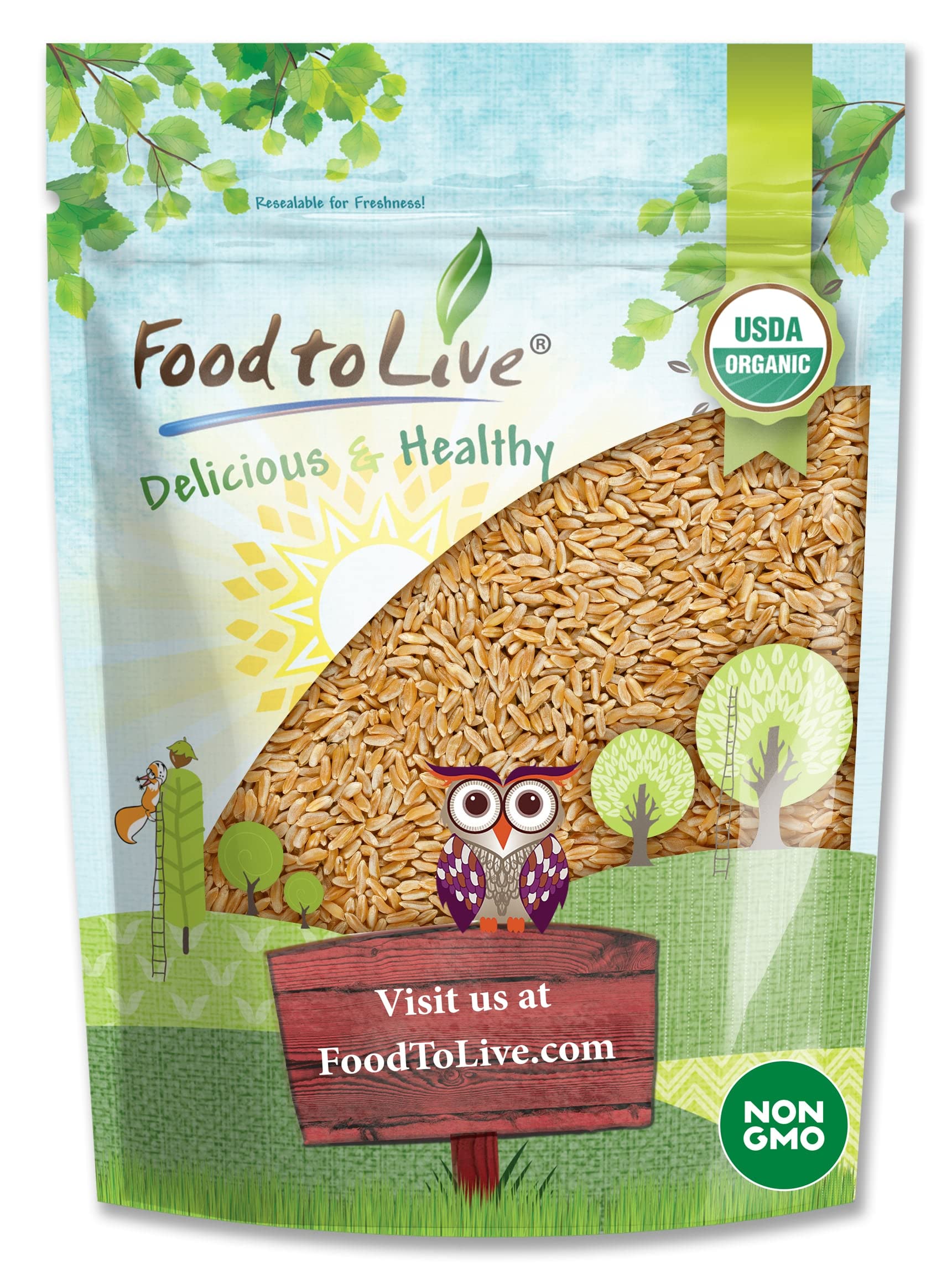 Food to Live Organic KAMUT Khorasan Wheat Berries, 1 Pound - 100% Whole Grain, Sproutable for Wheatgrass, Non-GMO, Kosher, Bulk