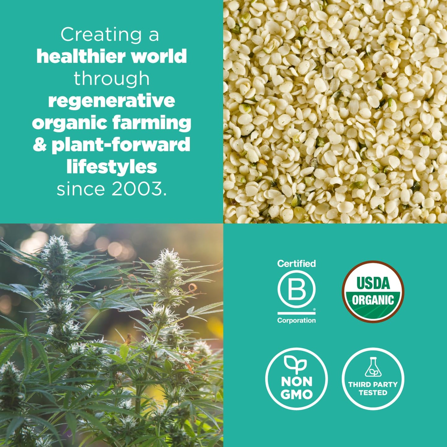 Navitas Organics Organic Raw Hemp Seeds, Non-GMO, Gluten-Free, 8 Ounce (Pack of 1), Model NAV00014
