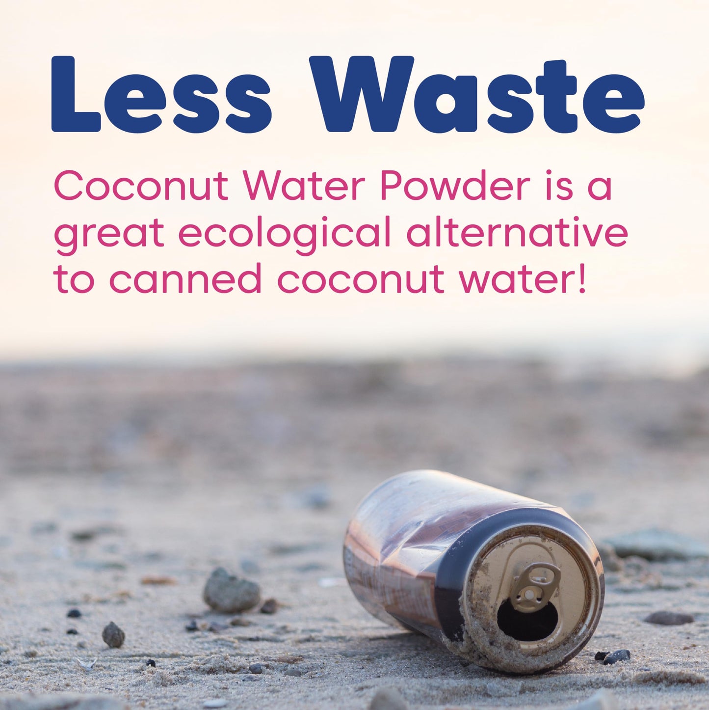 Wilderness Poets Coconut Water Powder - 100% Natural, No Fillers, Instant Mix - 32 Ounce (Pack of 3)