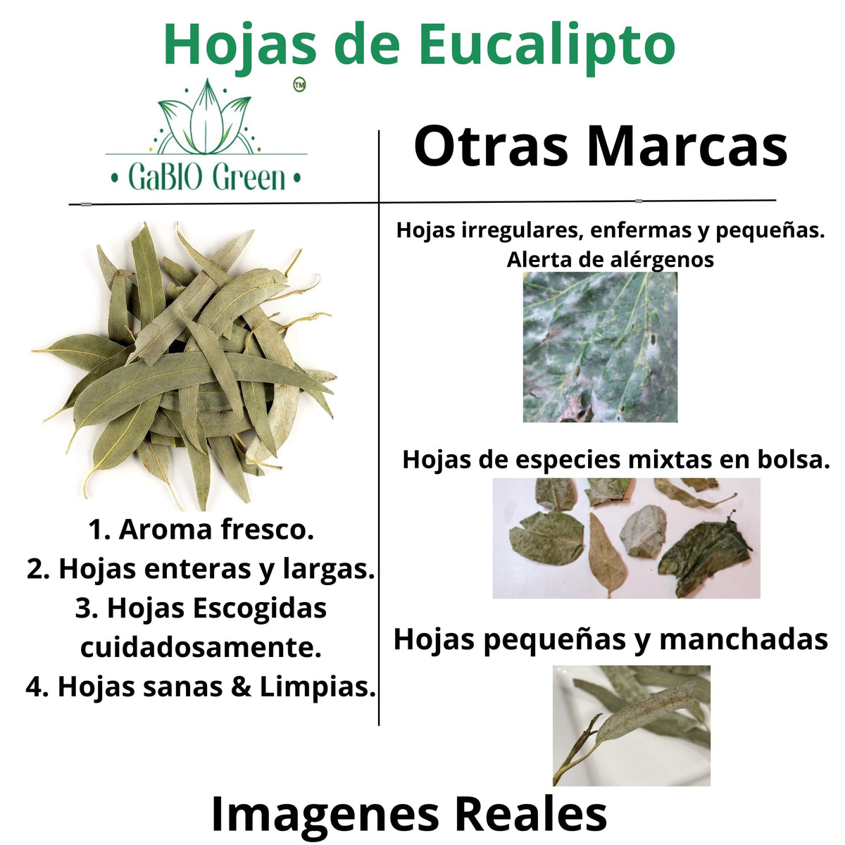 Natural Eucalyptus Herb Leaves, Whole Eucalyptus Leaves, 56G (2.0 Oz)