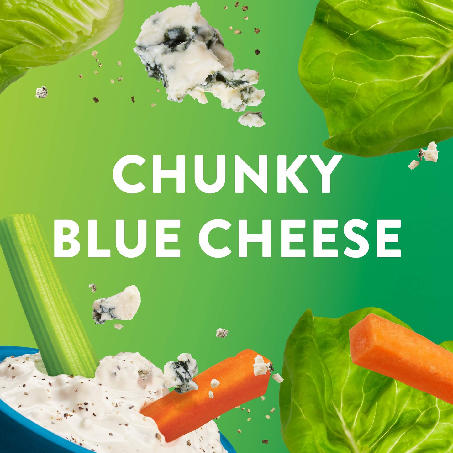 Wish-Bone Chunky Blue Cheese Salad Dressing, 8 FL OZ