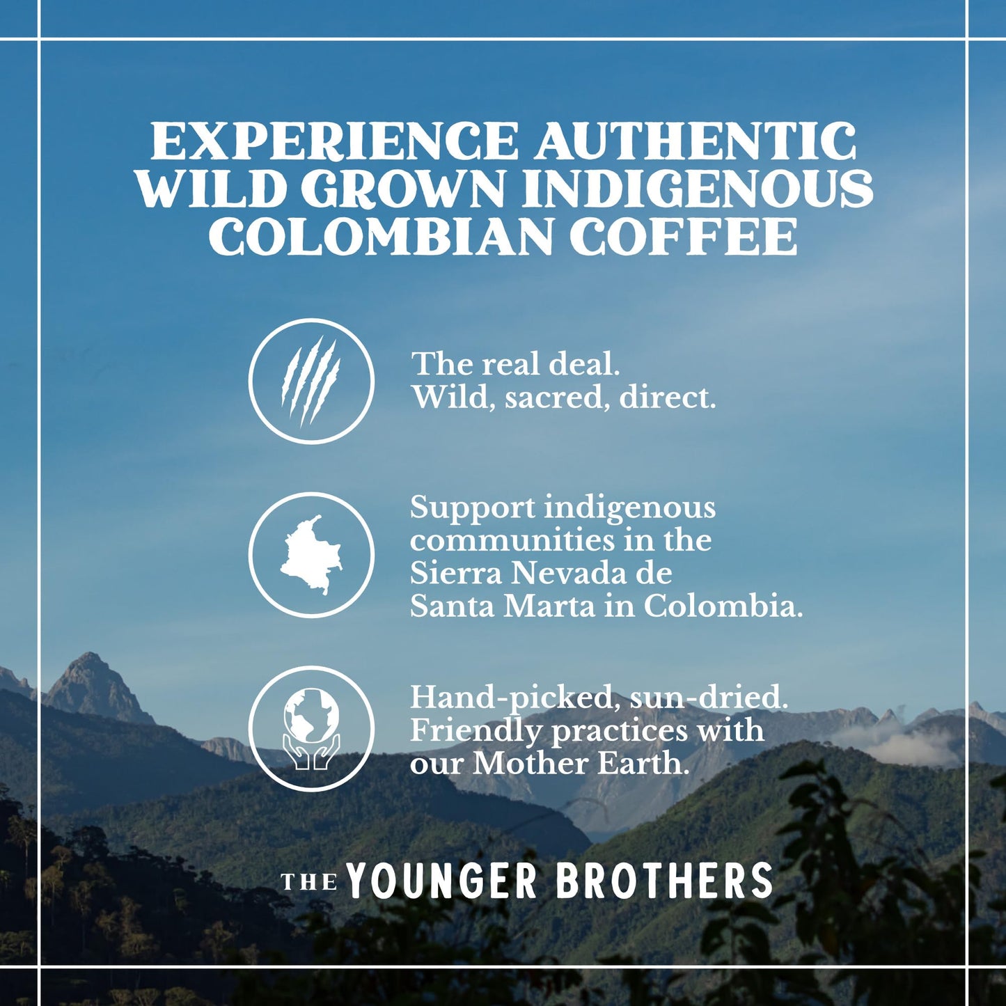 The Younger Brothers Trading Co. Kogi Coffee - Ethically Sourced Colombian Whole Bean Espresso Roast, 35.2 oz