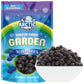 Arctic Farms Garden Pure Freeze Dried Blueberries Fruits, No Sugar Added, Crunchy Snacks (Blueberry)