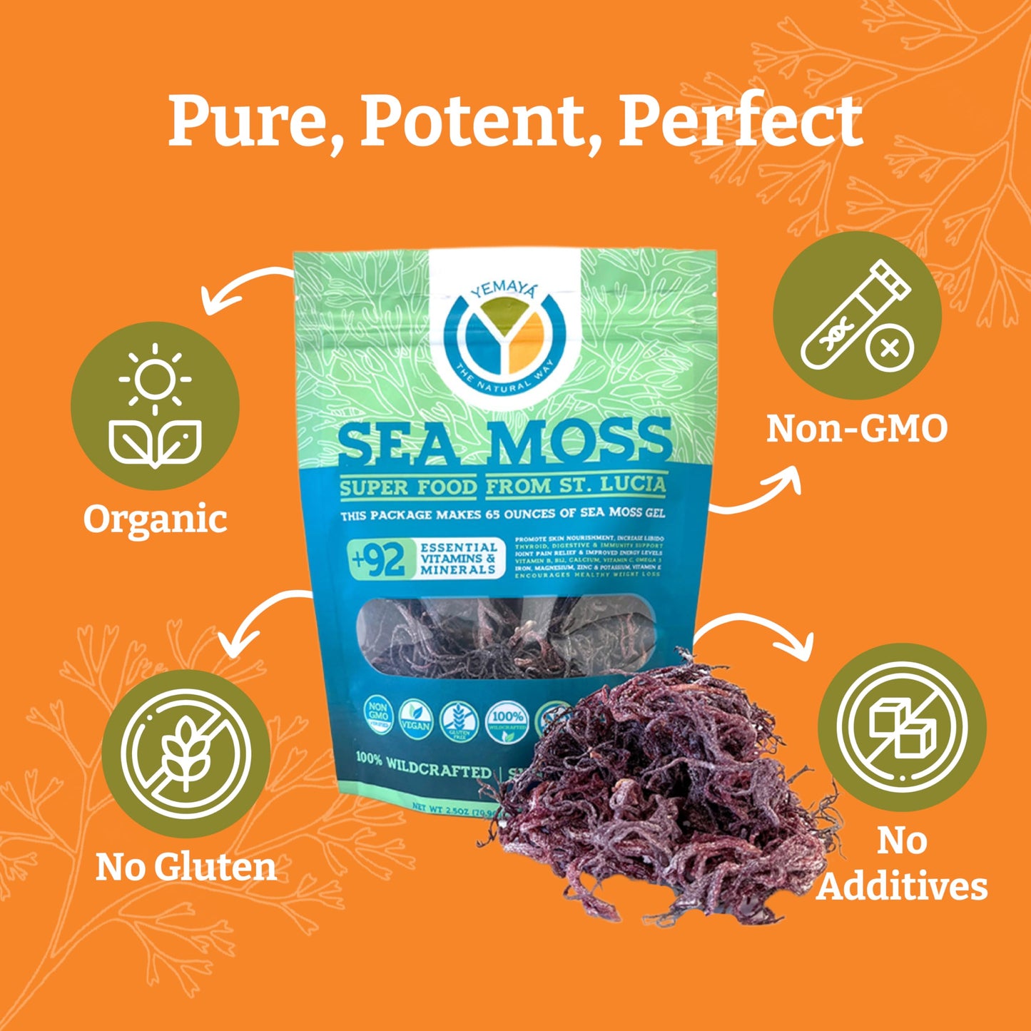 YEMAYA THE NATURAL WAY Organic Dried Sea Moss dietary product, 2.5 oz, Purple, Gluten & Additive Free