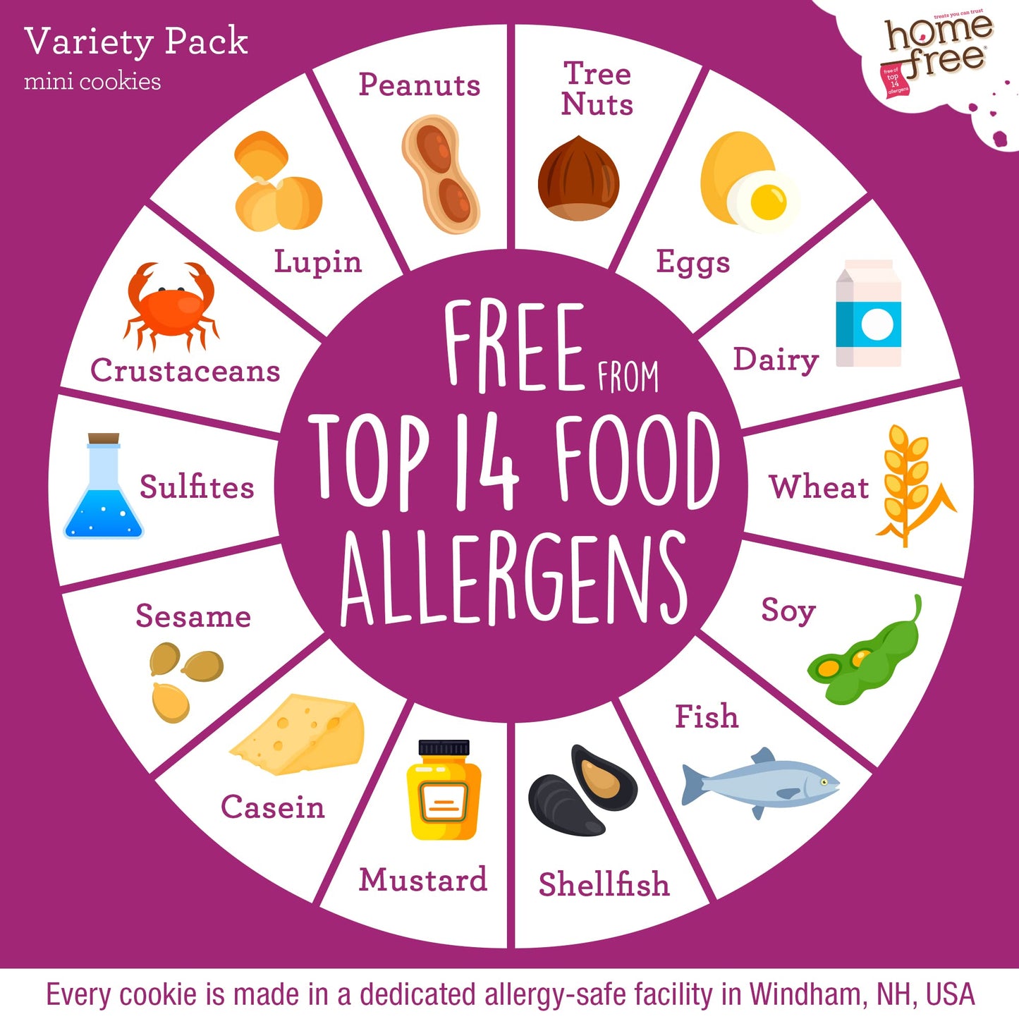 Homefree Mini Cookies Variety Pack, Gluten Free, Nut Free, Vegan, Cookie Snack Packs, School Safe and Allergy Friendly Snack (Pa