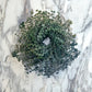 Fresh Eucalyptus Wreath Living Leaves 24'' [California] Baby Blue Variety [Shipped Overnight] For Front Door Natural Wreath For