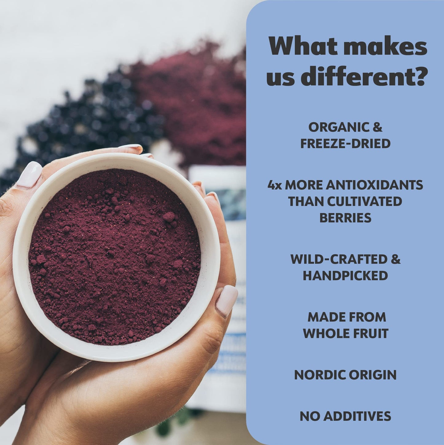 LOOV Organic Wild Blueberry Powder - 15-Day Supply, 3.2 Oz, Good for Smoothie & Breakfast, Freeze-Dried, from Northern Europe, N