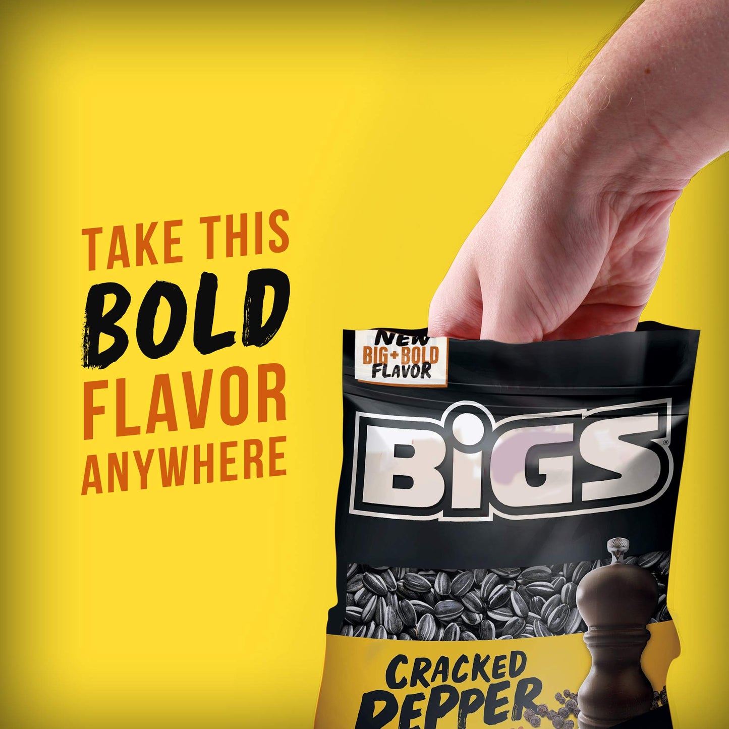 BIGS Sunflower Seeds, Cracked Pepper Flavor, Baseball Stocking Stuffer, 5.35 oz. (Pack of 12)