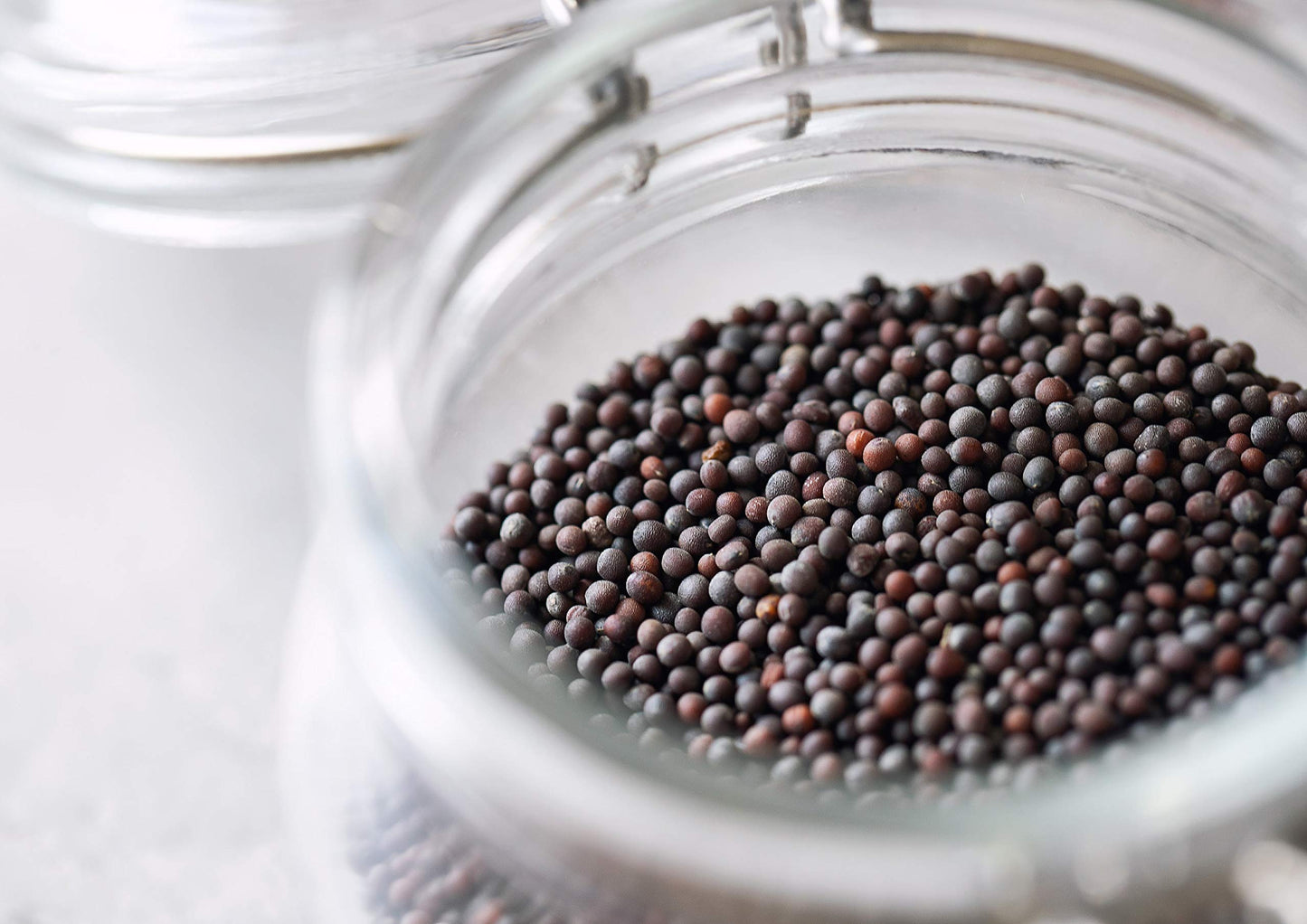 Food To Live - Organic Black Mustard Seeds, 5 Pounds - Non-Gmo, Whole Hot Spice, Non-Irradiated, Vegan, Kosher, High In Protein,