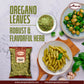 Aiva Dired Oregano Leaves | Natural | (7 Oz)
