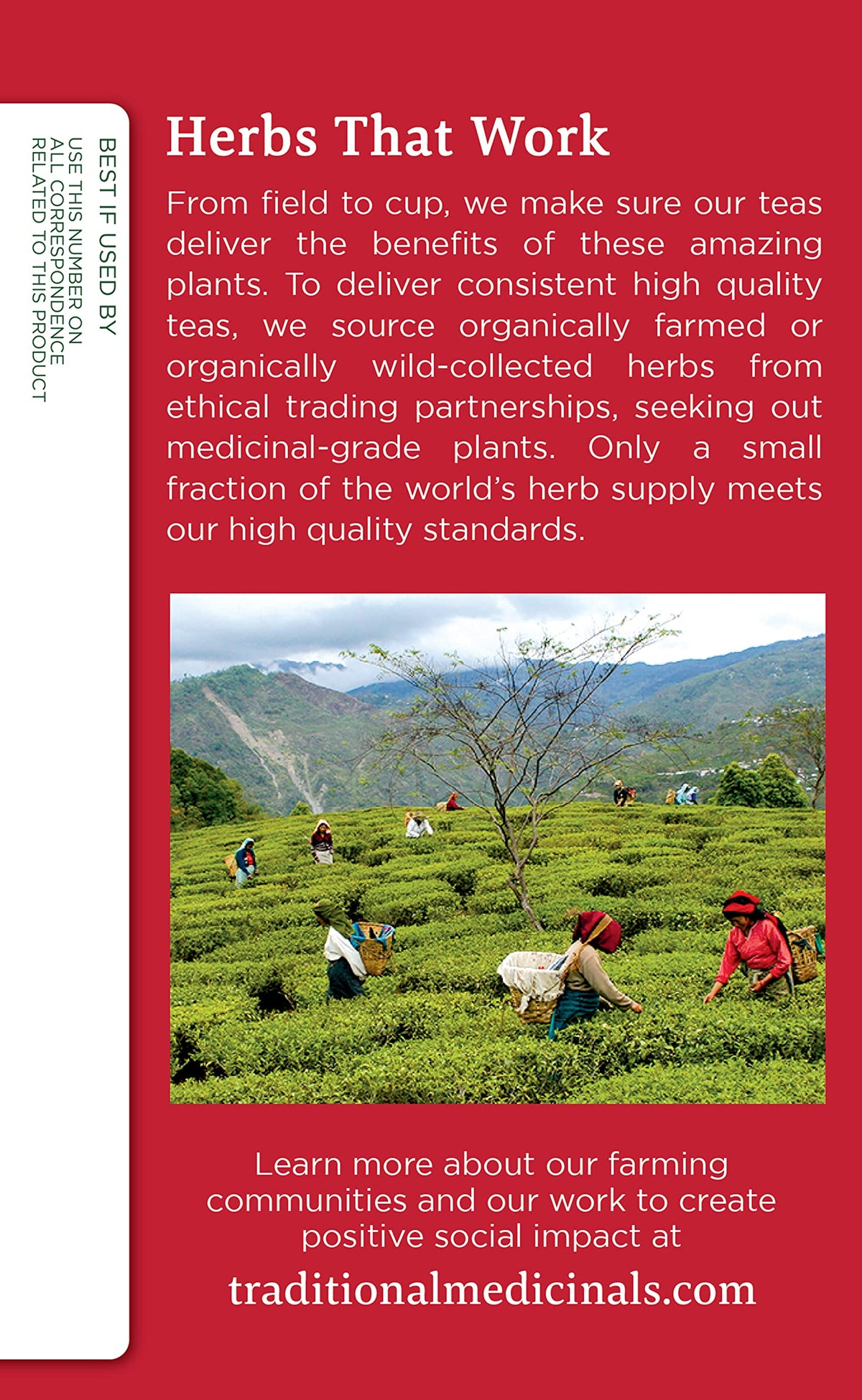Traditional Medicinals Tea, Organic Echinacea Plus, Promotes Immune Function, W/ Spearmint, 16 Tea Bags