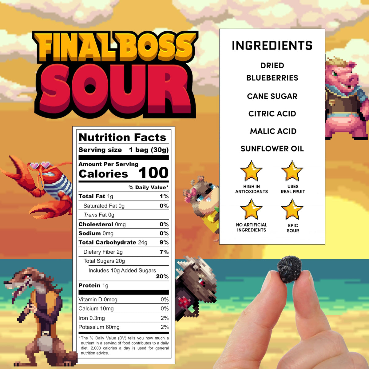 FINAL BOSS Halloween Sour Candy, Sour Blueberries, 10 Pack, Low Calorie Fruit Chews with Real Dried Fruit