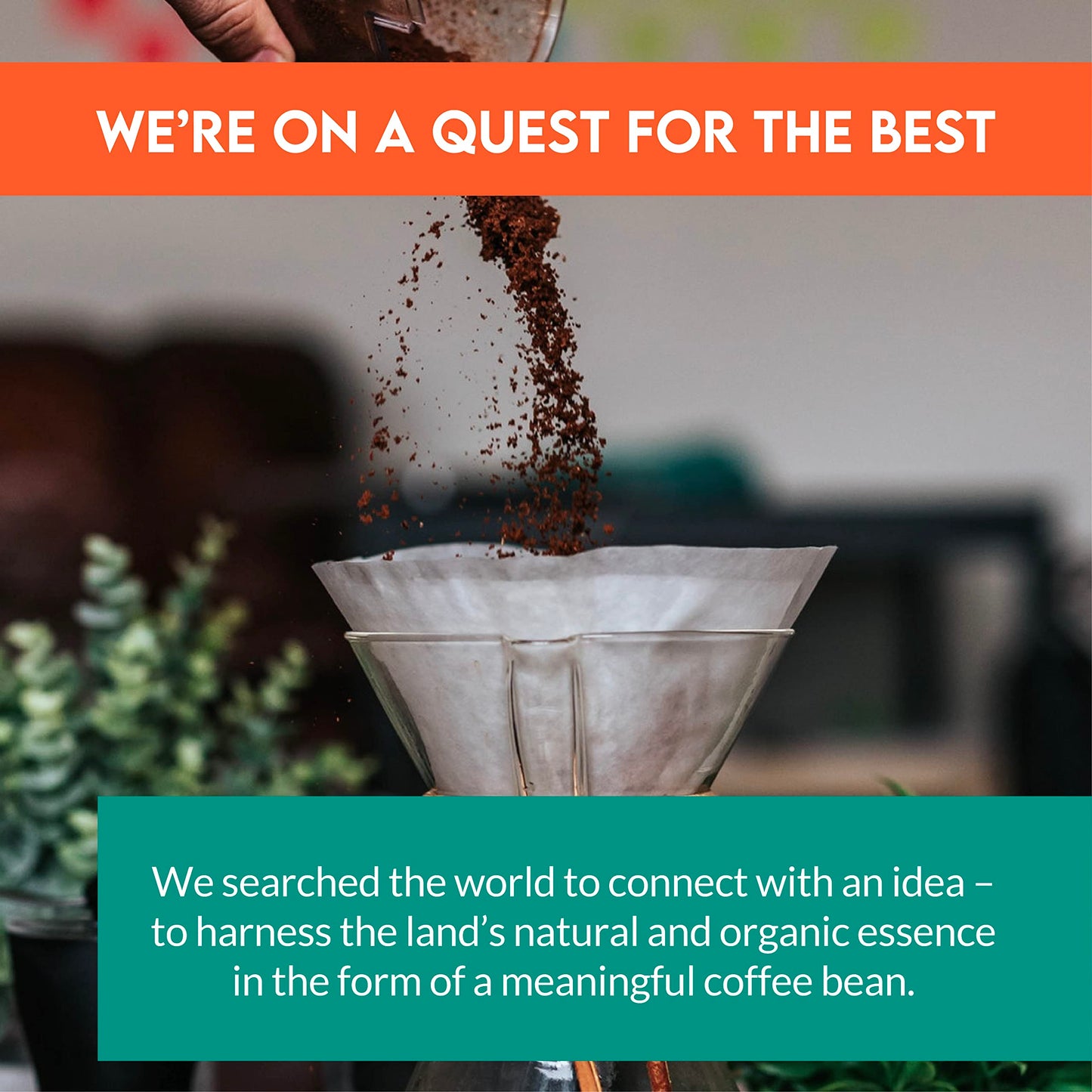 CLEAN COFFEE CO Low Acid Ground Coffee, Medium Roast, 12oz Bag, Papua New Guinea