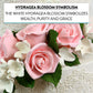 Global Sugar Art Hydrangea Blossom Sugar Cake Flowers, White With Wire, 36 Count By Chef Alan Tetreault