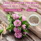 Fullchea - Red Clover Tea Bags  50 Teabags - Pure Red Clover Herb - Non-GMO - Caffeine-Free - Rich in Antioxidants & Supports Wellness