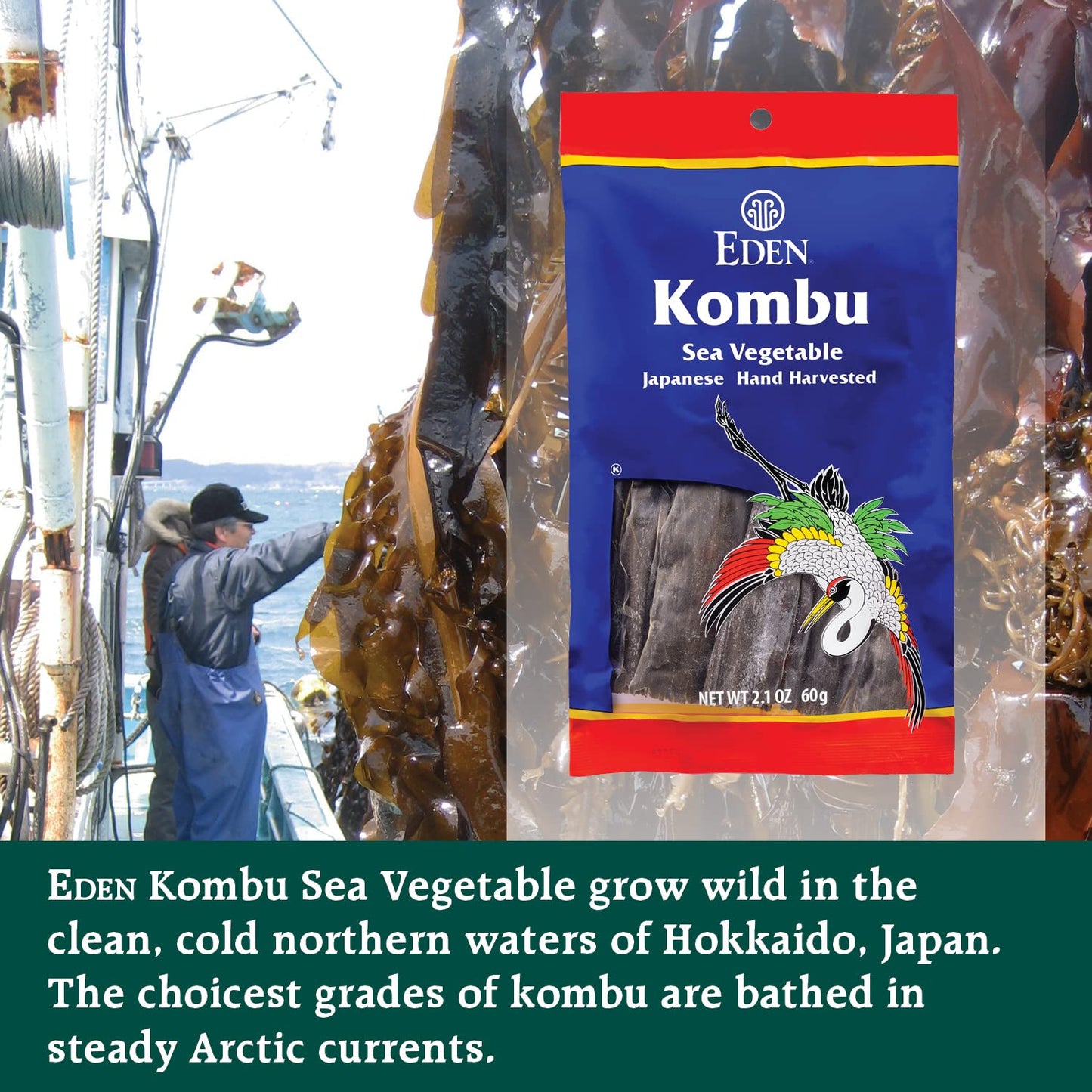 Eden Kombu  Wild Japanese Hand Harvested Sea Vegetable  for Dashi  Sea  2.1 Oz