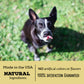 Exclusively Dog Carob & Peanut Buter Sandwich Cremes Cookies - All Natural Dog Treats, No Animal Byproducts, Baked In The Usa, I